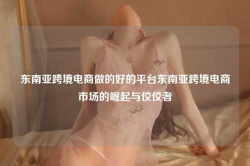 东南亚跨境电商做的好的平台东南亚跨境电商市场的崛起与佼佼者