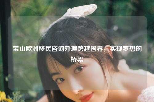 宝山欧洲移民咨询办理跨越国界，实现梦想的桥梁
