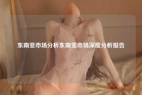 东南亚市场分析东南亚市场深度分析报告