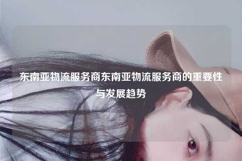 东南亚物流服务商东南亚物流服务商的重要性与发展趋势