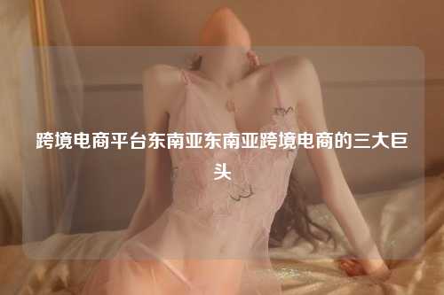 跨境电商平台东南亚东南亚跨境电商的三大巨头